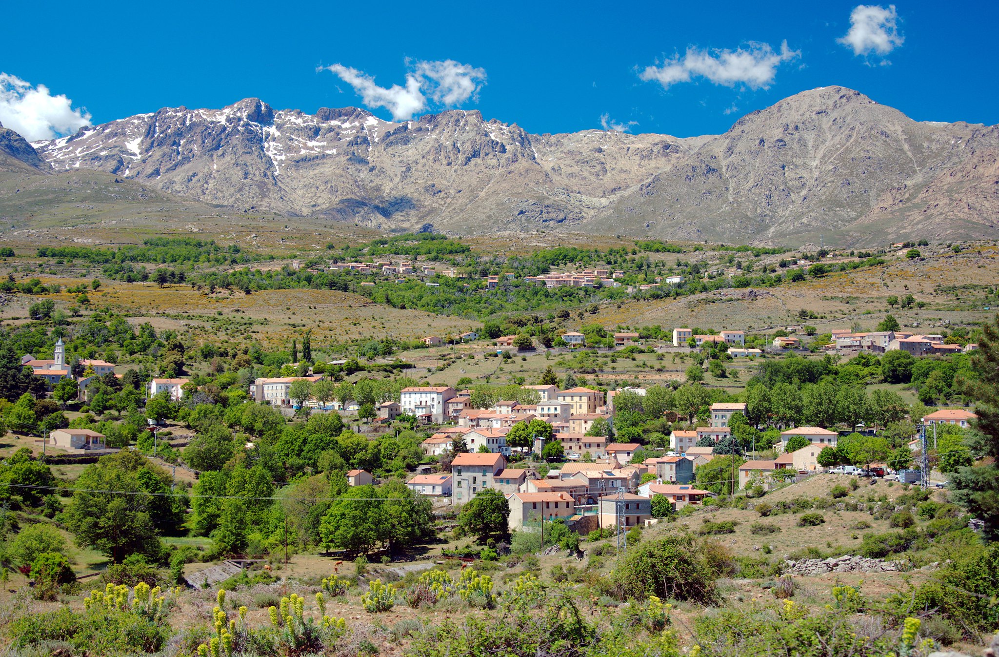 monteCinto